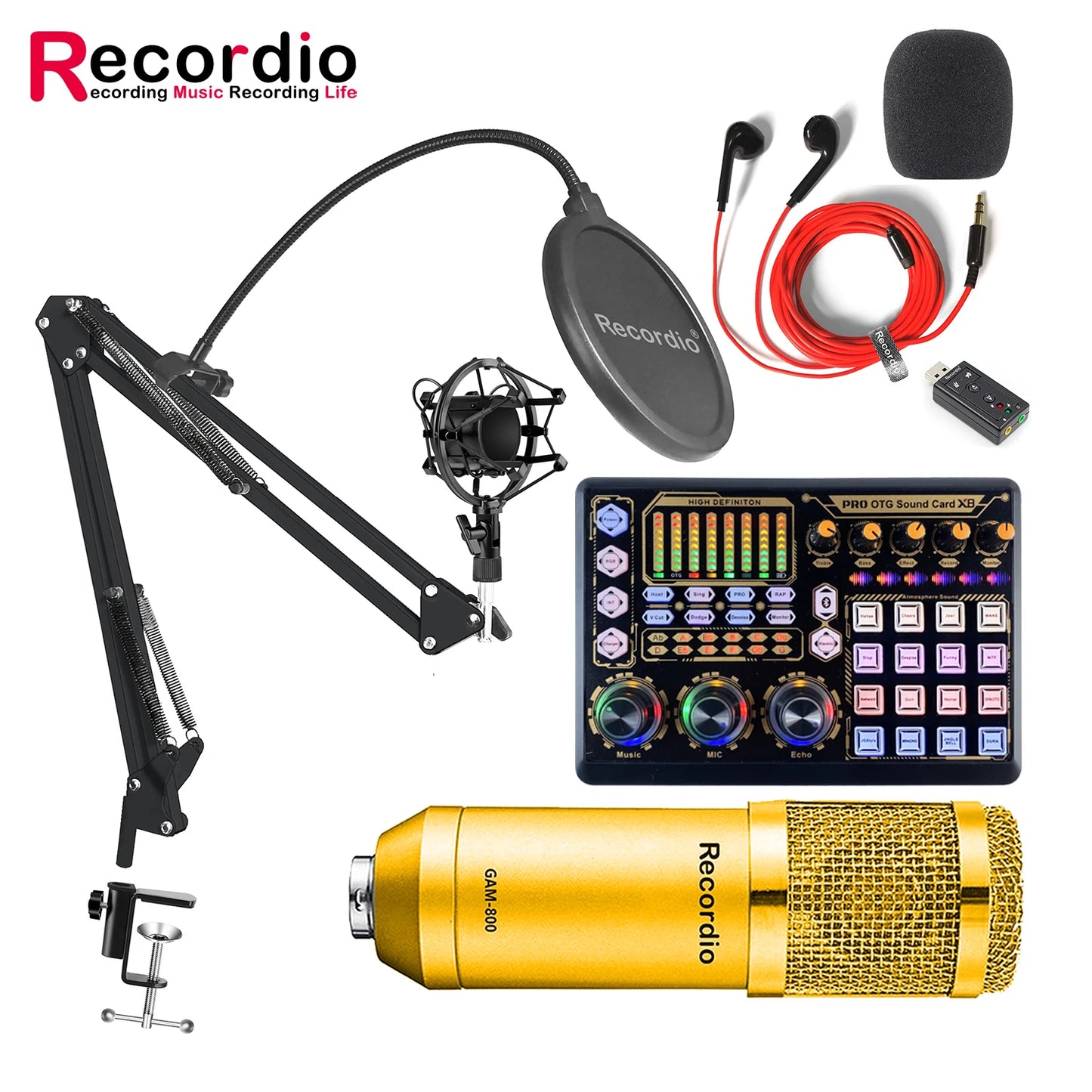 GAM-800R Professional Condenser Microphone R8 Sound Card Set for Webcast Live Recording