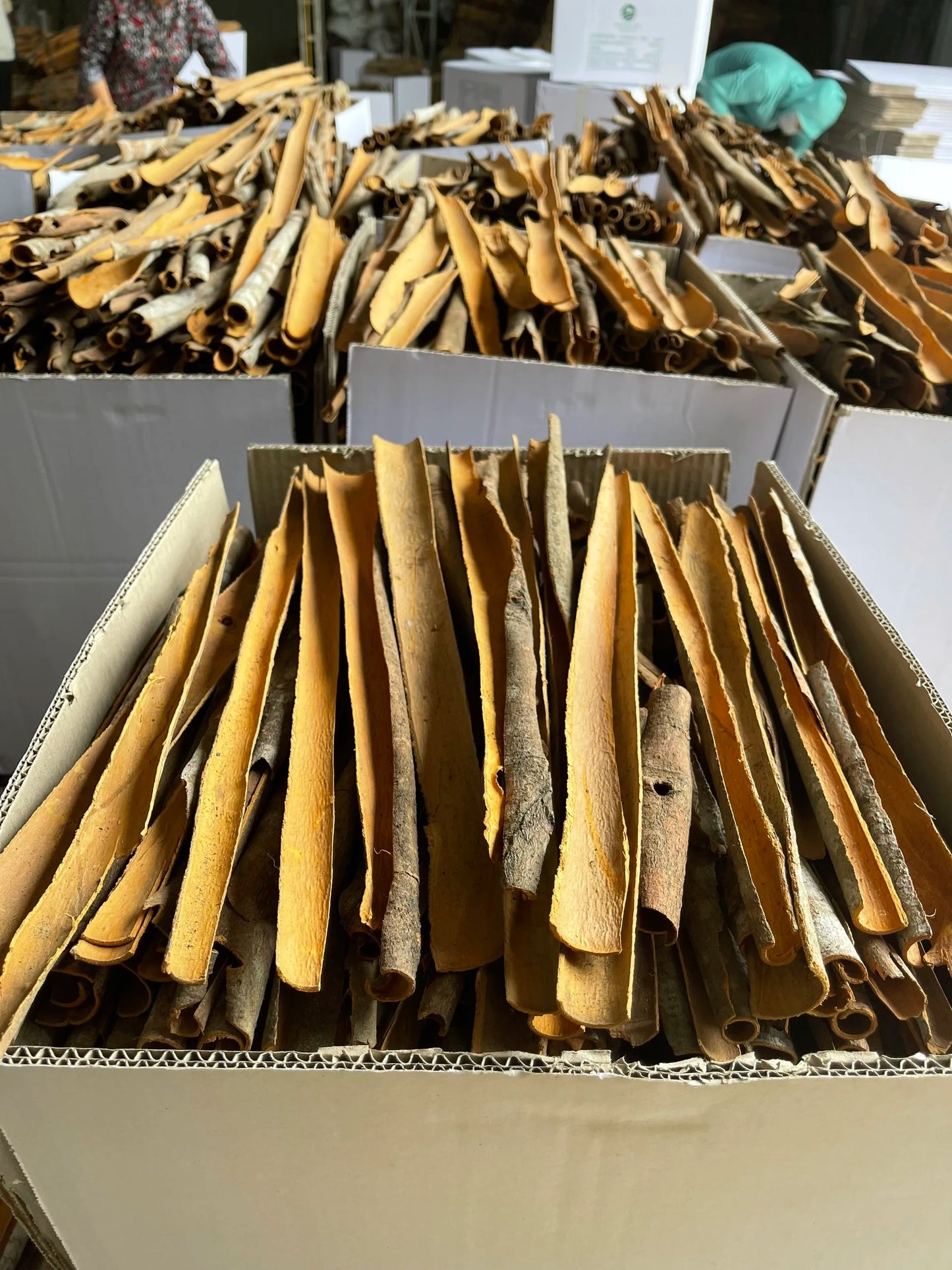 ISO Certificated Wholesale Price Made In Vietnam Split Cassia Mixed Or Uniform Cutting