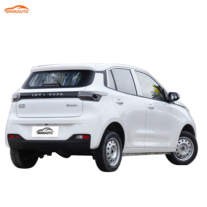 China Long Range  Large Space Adults Suv New Electric Ev Car Levdeo Letin mango for Sale