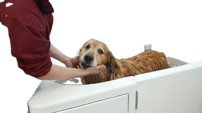 Modern Design Portable Rectangle Machine Air Massage Eco-Friendly Acrylic Large Dog Wash Station Free Standing Dog Spa Bathtub