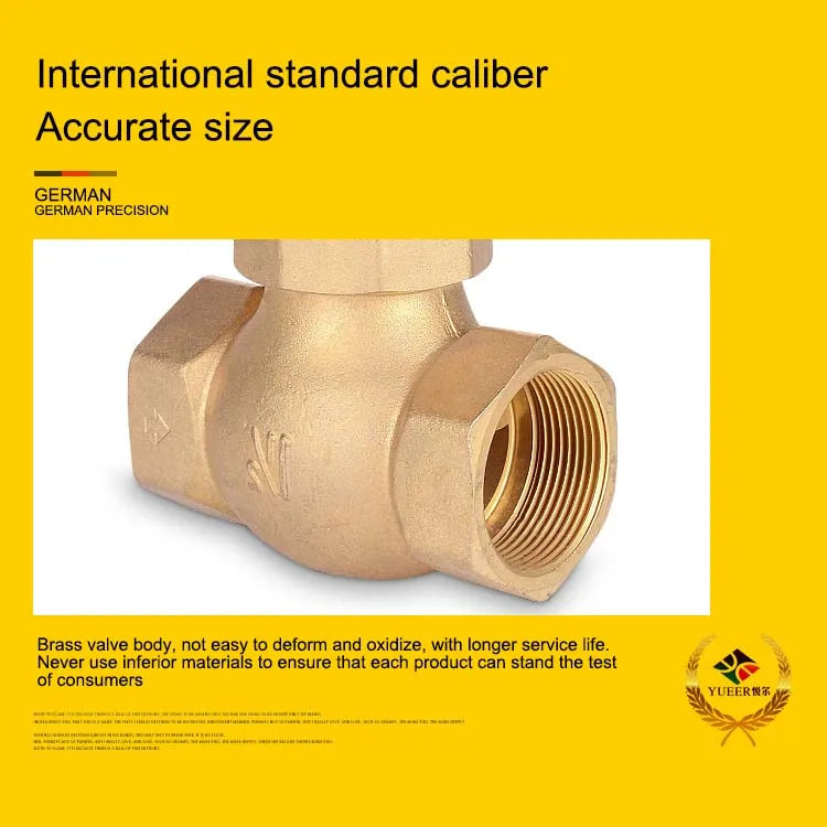Factory Customized High Temperature Resistant Brass AC220V DN15 Water vapor pilot Solenoid Valve for Pass Steam by PDG ibma