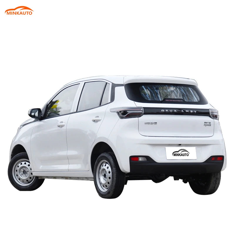 China Long Range  Large Space Adults Suv New Electric Ev Car Levdeo Letin mango for Sale