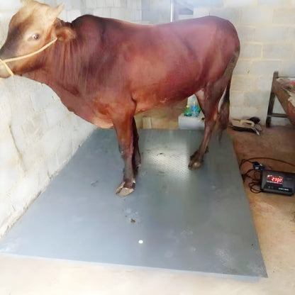 High Quality Carbon Steel 5 Ton Cattle Weighing Scales Industrial Electronic Balance Platform Floor Weighing Scales for Sale