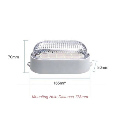 8W IP65 Waterproof Cold Storage LED Lamp for Home Kitchen Cool White Light