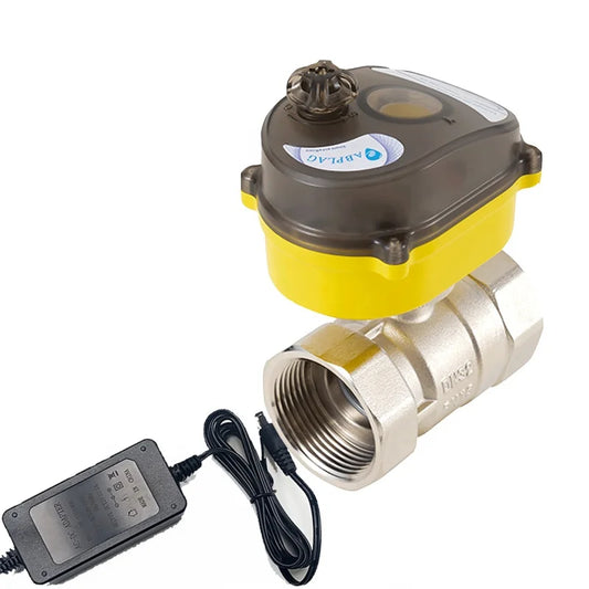 Stainless Steel Electric Ball Valve 2-way Water Valve with Power Adapter Automatic Return Setting Electric Valve by PDG ibma