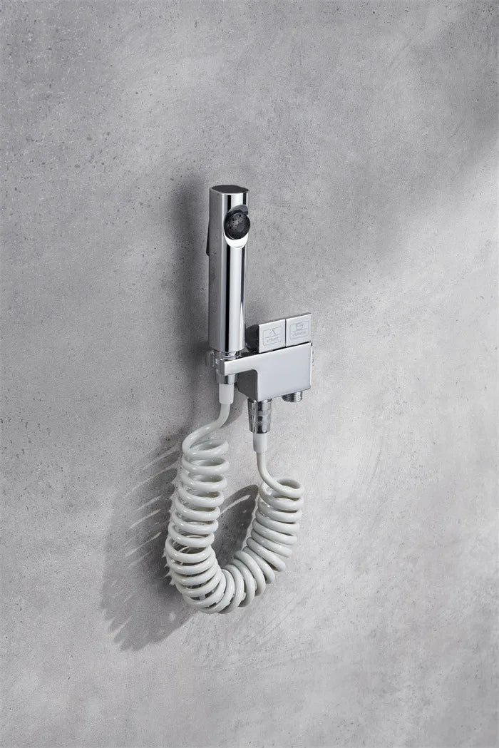 Bathroom Wall Mounted Chrome-Plated Brass Toilet Companion Bidet Sprayer Set
