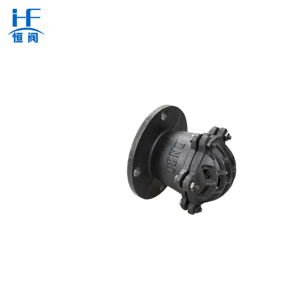 Hengfa Factory Price H42X-1.0/1.6/2.5 New Flange Bottom Foot Valve Ductile Iron Manual Control Structure DN40-DN300 ISO9001