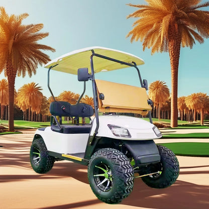 All-Terrain Electric Golf Cart for Adults 2-Seater Street Legal 3.5KW 60V 70-90km Range Beach Cart for Hunting Buggy