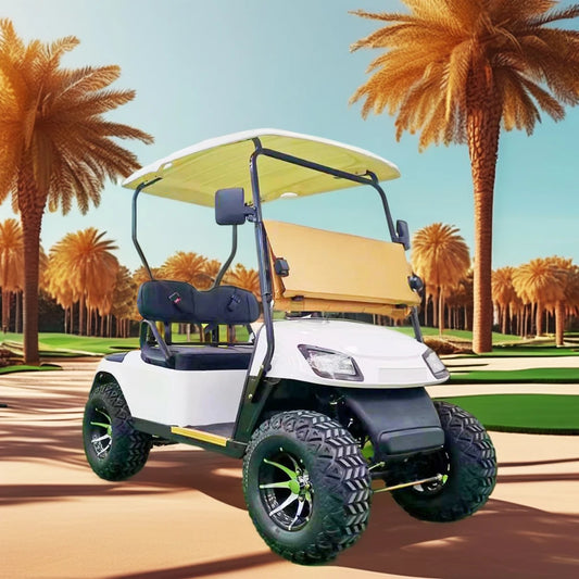 All-Terrain Electric Golf Cart for Adults 2-Seater Street Legal 3.5KW 60V 70-90km Range Beach Cart for Hunting Buggy