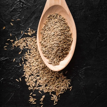Premium Cumin Seeds Jeera Export Quality Whole Spice Cleaned Natural Seasoning Culinary Aroma from Saanvisha Gujarat India