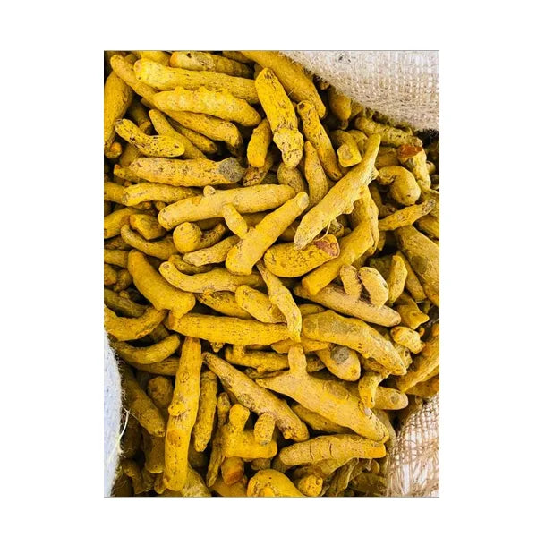 Tropical Sun Elite Fresh Raw Turmeric Powder Signature Flavor Natural Health Spice Contemporary Food Manufacturing Essential