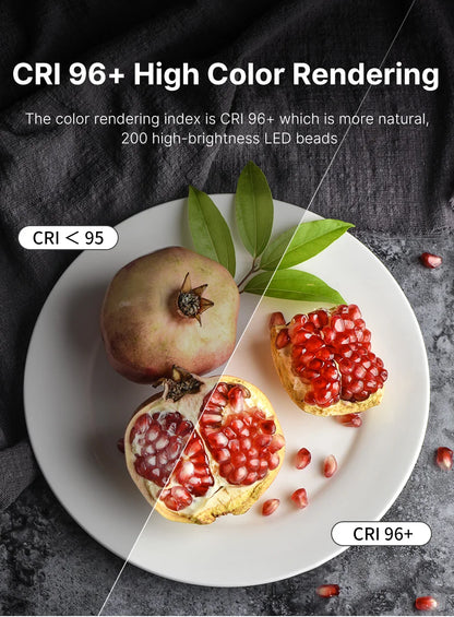 Ulanzi U200 Rechargable Smartphone Video Rig Vertical Shooting LED Ring Light LED Video Light DSLR Smartphone Handle Vlog Grip