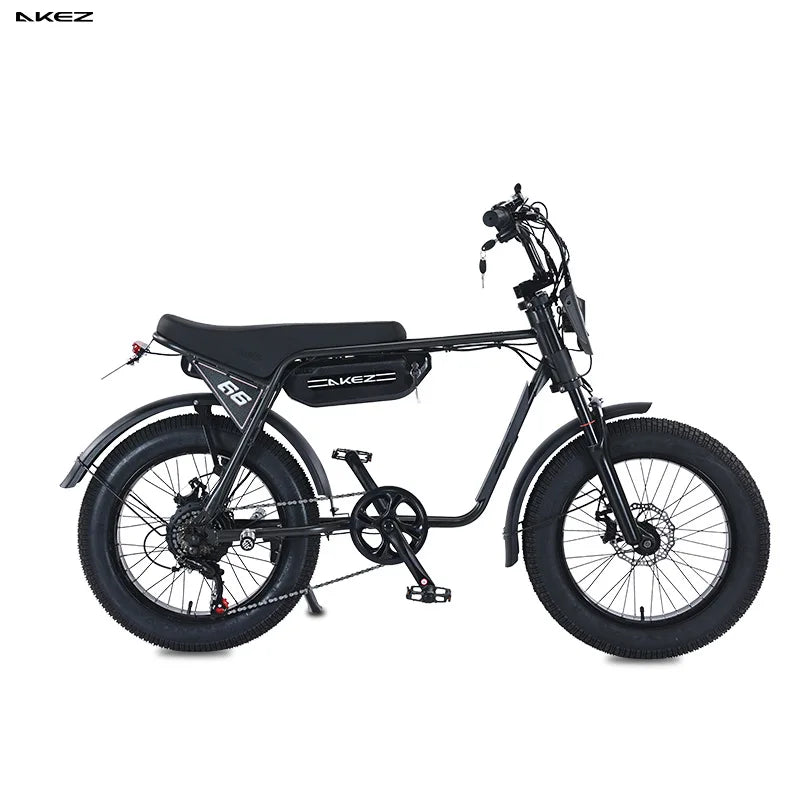 20-Inch Fat Tire Rear Hub Motor 750W Electric City Bike for 2 People with Foot Pegs-Snow & Beach Retro Style