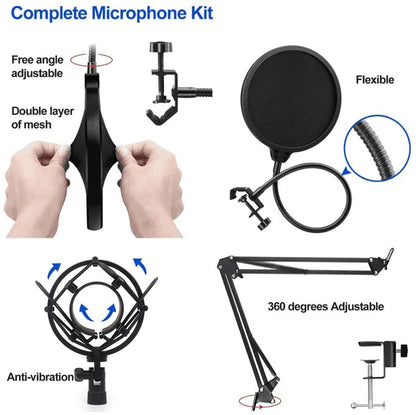GAM-800R Professional Condenser Microphone R8 Sound Card Set for Webcast Live Recording