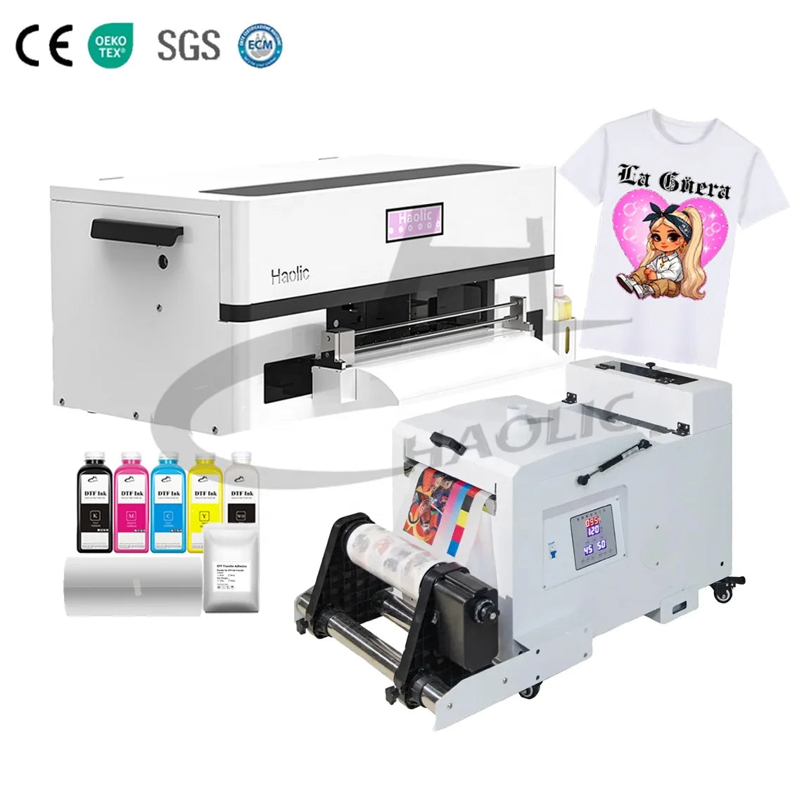 DTF-Printing-Machine With Shaker Powder Heating Custom DTF Transfer Printer Any Textiles 30 60 CM for DTF Starts Kits