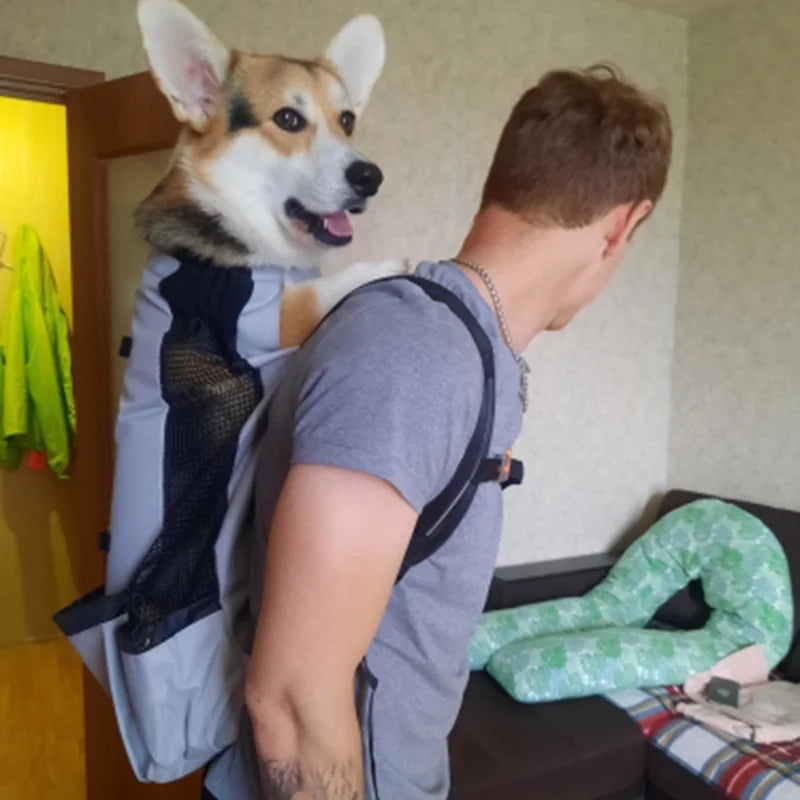 Travel Riding Driving Pet Carrier Backpack Carring Supplies for Medium Large Dogs Camouflage Big Dog Bags Samoyed Labrador Corgi