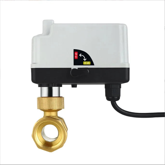 DC12V/24V AC220V Electric Hand Self-Integrated Medium Temperature Control Brass Three-Wire Two-Control Valve 1" Inch OEM by PDG ibma