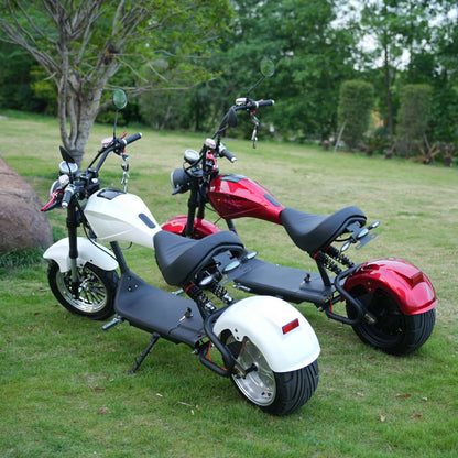 Wide Fat Tire Off Road E Scooter Adult Electric Motorcycle Hydraulic Front Fork Dual Brake Outdoor Travel Mobility Moped