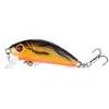 Hengjia 3d Eyes Hard Body 5cm Small Minnow Flying Fishing Lure