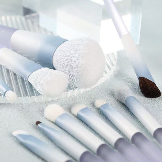 Chen Yuanyuan 10-Piece Makeup Brush Set, Blush Brush, Loose Powder Brush, Eye Shadow Brush, Nose Shadow Brush, Complete Set for Setting Makeup and Contouring