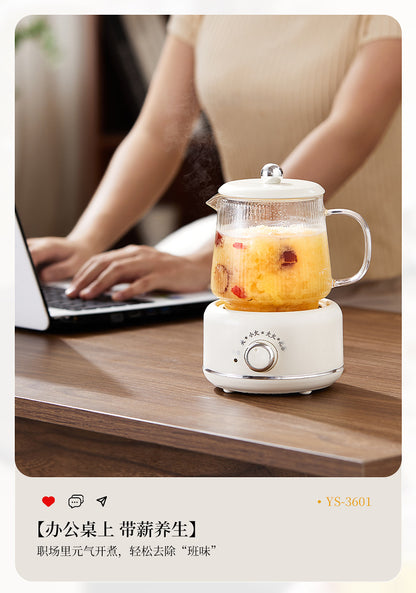 Multifunctional Mini Health Pot, Small Office Tea Maker, Home Health Cup, Electric Hot Water Cup, Gift Box