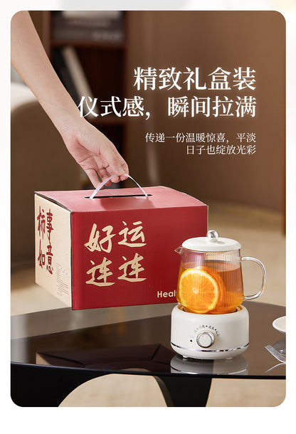 Multifunctional Mini Health Pot, Small Office Tea Maker, Home Health Cup, Electric Hot Water Cup, Gift Box