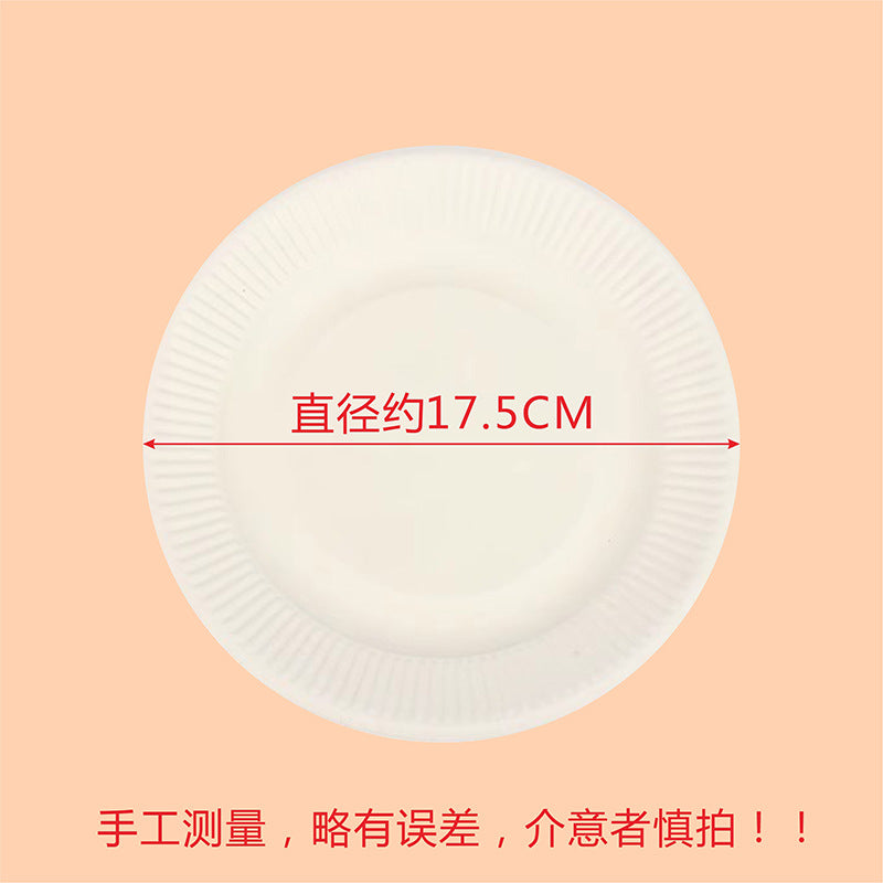 20 Pack Birthday Cake Plate Picnic Party Tableware Paper Plate Kindergarten Art Painting White Paper Plate