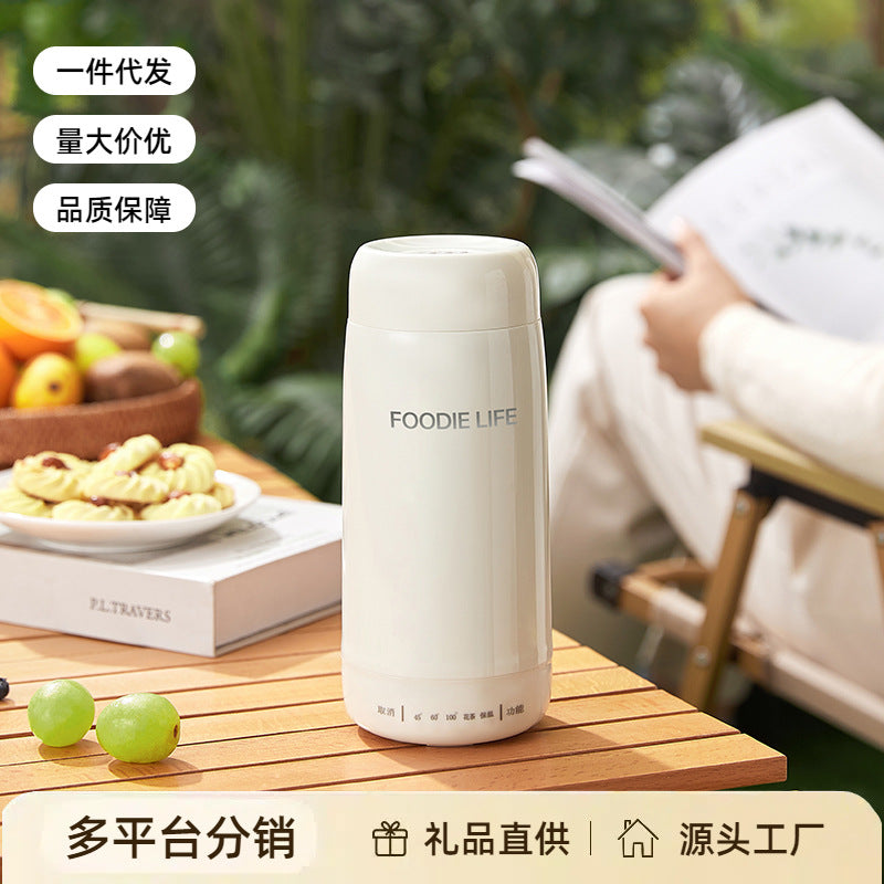Travel Kettle Electric Heating Cup Small Portable Heating Stainless Steel Thermostatic Cup Health Kettle Tea Thermos Cup