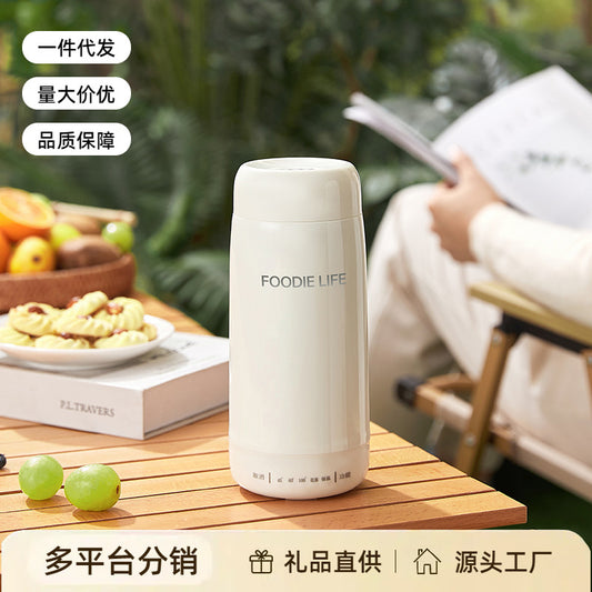 Travel Kettle Electric Heating Cup Small Portable Heating Stainless Steel Thermostatic Cup Health Kettle Tea Thermos Cup by PDG ibma