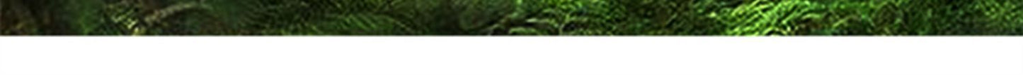 2024 Summer Thin Pants Soft Shell Waterproof Windproof Men's American Style Functional Outdoor Mountaineering Casual Crock Pants