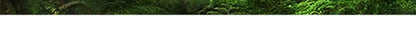 2024 Summer Thin Pants Soft Shell Waterproof Windproof Men's American Style Functional Outdoor Mountaineering Casual Crock Pants