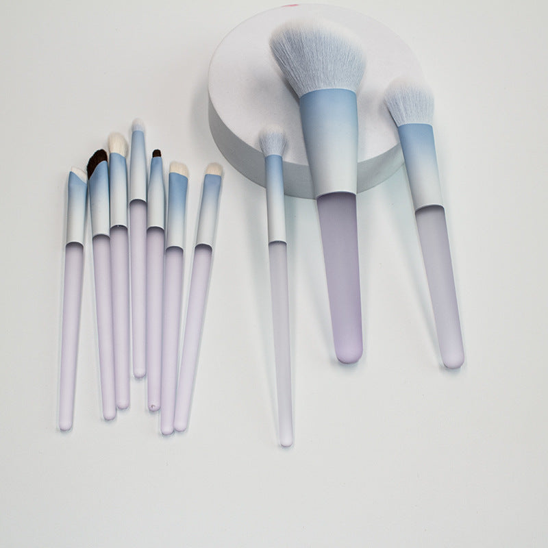 Chen Yuanyuan 10-Piece Makeup Brush Set, Blush Brush, Loose Powder Brush, Eye Shadow Brush, Nose Shadow Brush, Complete Set for Setting Makeup and Contouring