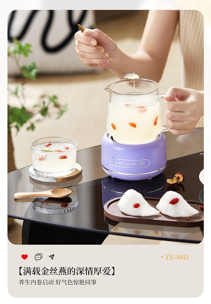 Multifunctional Mini Health Pot, Small Office Tea Maker, Home Health Cup, Electric Hot Water Cup, Gift Box
