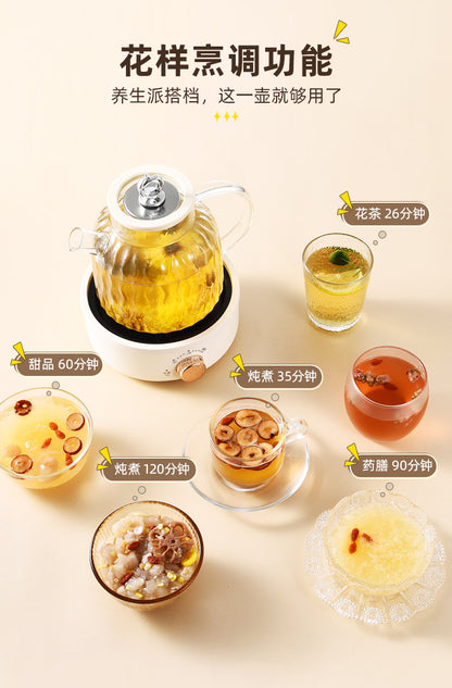 All-Glass Health Pot Multi-Functional Home Office New Insulated Tea Boiler Water Kettle Flower Teapot 110V
