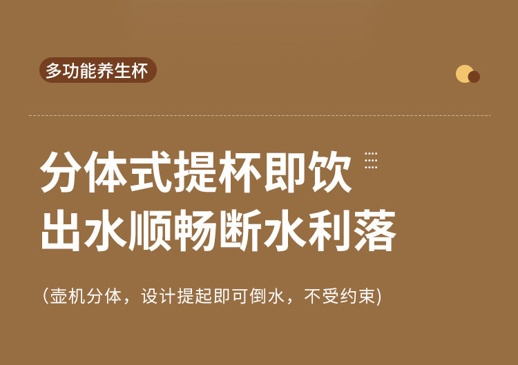 Multifunctional Health Cup Electric Stew Cup Small Mini Heating Water Cup Tea Boiling Pot Hot Milk Office Artifact