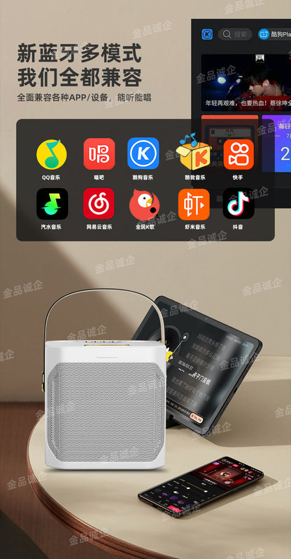 Cross-Border S882 Outdoor Karaoke Bluetooth Speaker High Volume Ys203 Home Wireless Microphone All-In-One Small Speaker