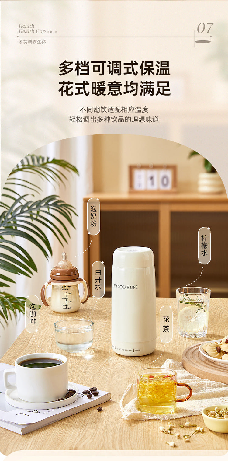 Travel Kettle Electric Heating Cup Small Portable Heating Stainless Steel Thermostatic Cup Health Kettle Tea Thermos Cup
