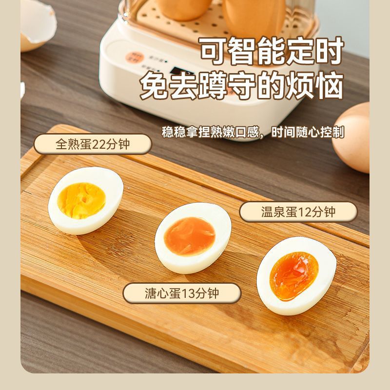 Mini Egg Boiler 2024 New Arrival Regular One-person Egg Steamer Automatic Power-off Household Small Smart