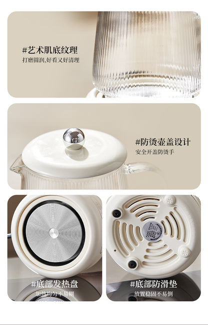 Multifunctional Mini Health Pot, Small Office Tea Maker, Home Health Cup, Electric Hot Water Cup, Gift Box