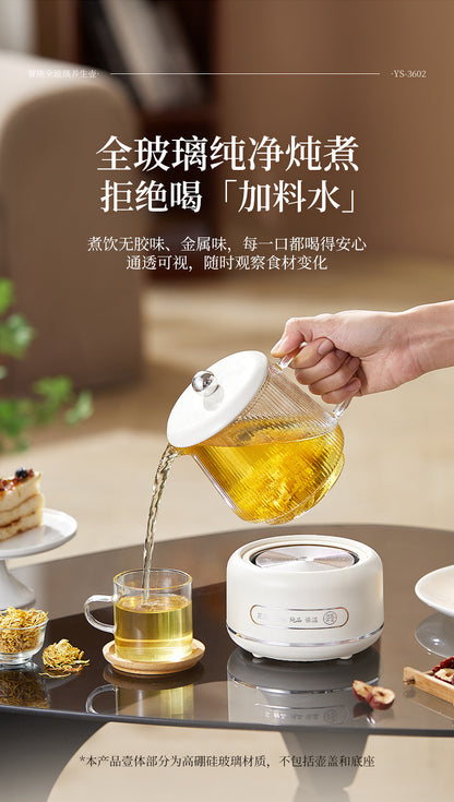 Multifunctional Mini Health Pot, Small Office Tea Maker, Home Health Cup, Electric Hot Water Cup, Gift Box