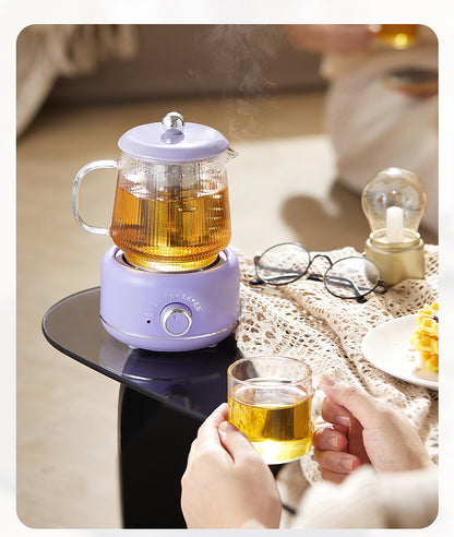 Multifunctional Mini Health Pot, Small Office Tea Maker, Home Health Cup, Electric Hot Water Cup, Gift Box