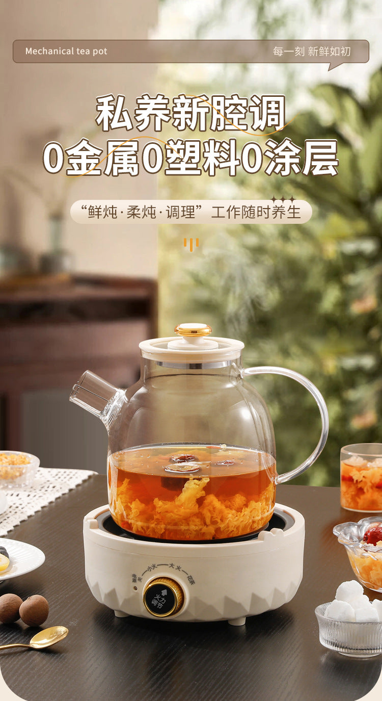 Multifunctional Health Pot Household Boiling Teapot Office Flower Teapot Glass Kettle Reservable Health Cup Gift