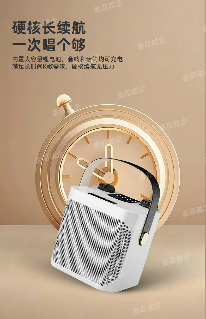Cross-Border S882 Outdoor Karaoke Bluetooth Speaker High Volume Ys203 Home Wireless Microphone All-In-One Small Speaker