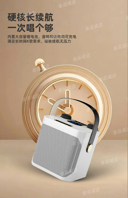Cross-Border S882 Outdoor Karaoke Bluetooth Speaker High Volume Ys203 Home Wireless Microphone All-In-One Small Speaker