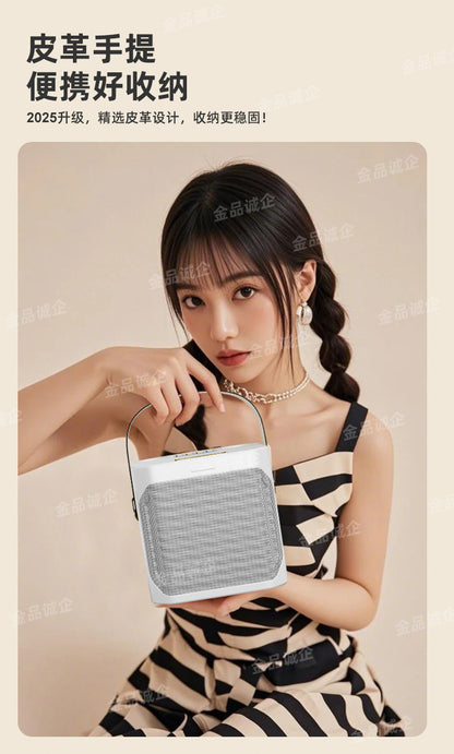 Cross-Border S882 Outdoor Karaoke Bluetooth Speaker High Volume Ys203 Home Wireless Microphone All-In-One Small Speaker