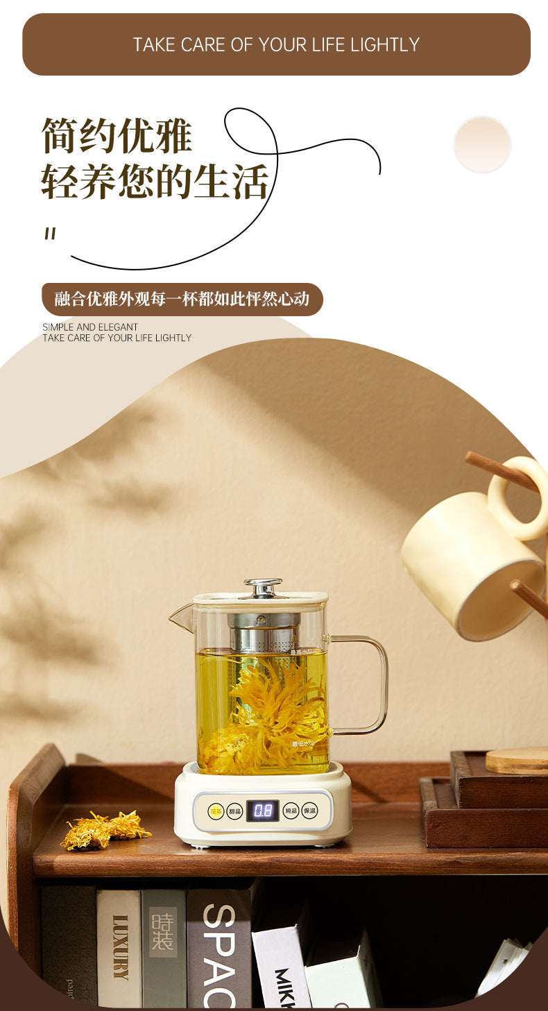 Health Pot Multi-functional New Household Glass Kettle Small Office Tea Maker Dormitory Flower Tea Pot Gift