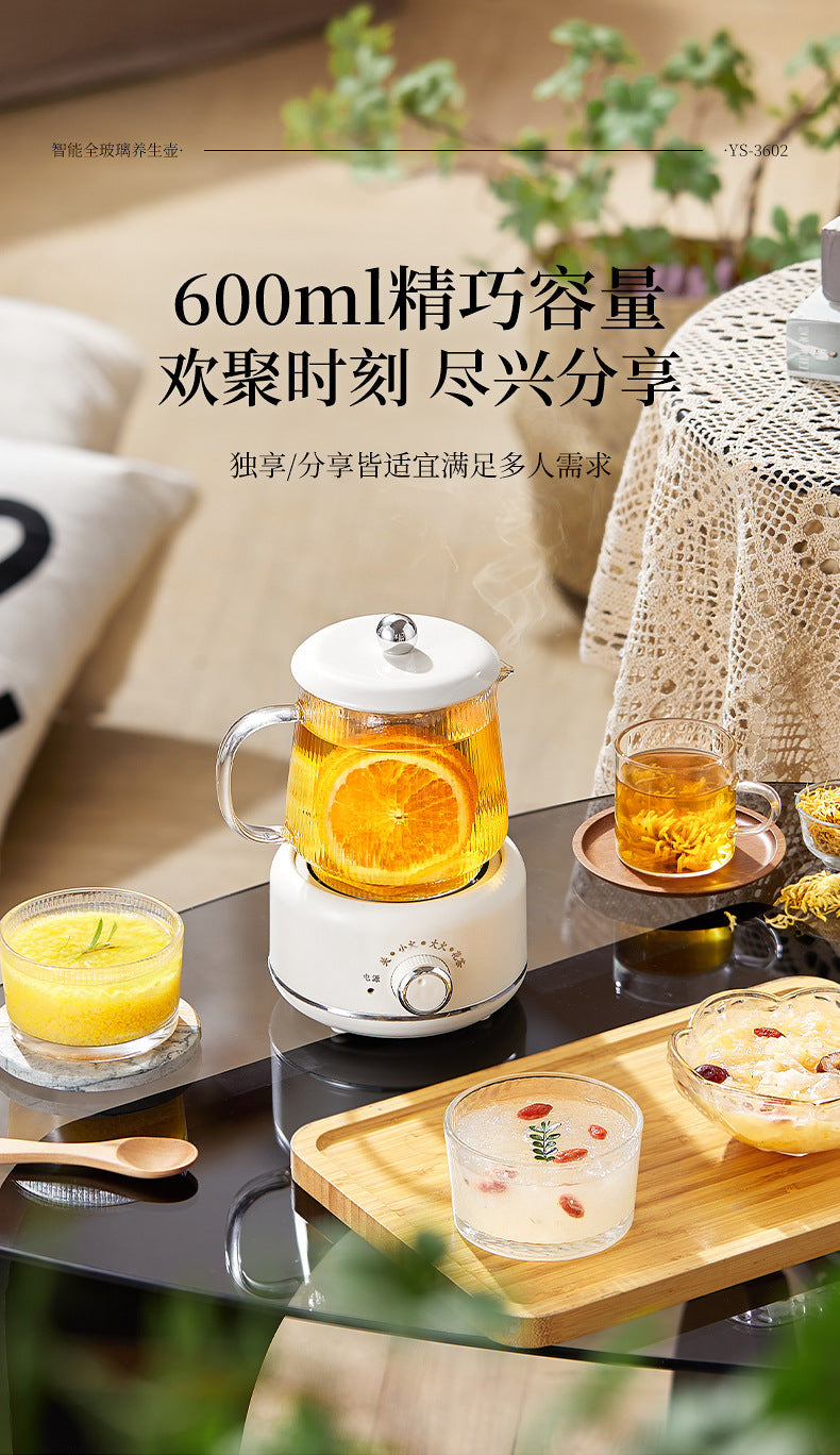 Multifunctional Mini Health Pot, Small Office Tea Maker, Home Health Cup, Electric Hot Water Cup, Gift Box