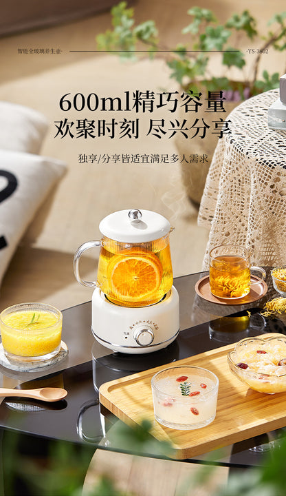 Multifunctional Mini Health Pot, Small Office Tea Maker, Home Health Cup, Electric Hot Water Cup, Gift Box