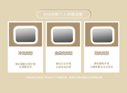 Cosmetic Bag with LED Light Portable small size Cosmetic Case Travel Cosmetic Storage Box