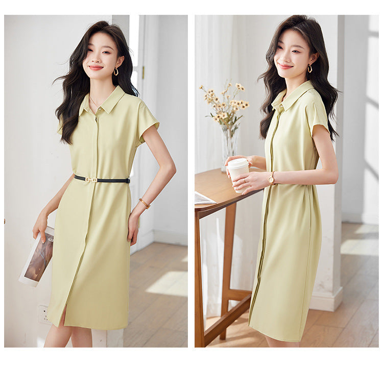 [Elegant Long Skirt] V-neck Short-sleeved dress High-end Work Clothes Mid-length Skirt Spring and Summer Business Wear Uniform